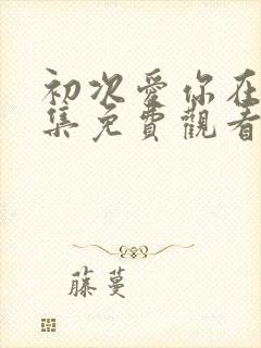 初次爱你在线全集免费观看完整版