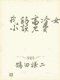 我的高冷女总裁小说免费