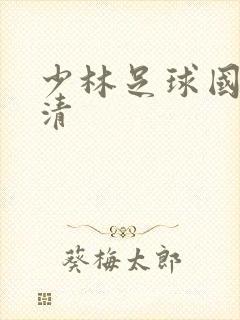 少林足球国语高清