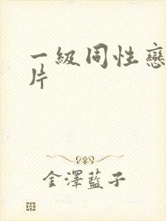 一级同性恋黄色片