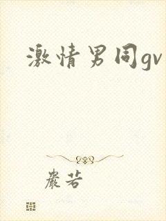 激情男同gv封面