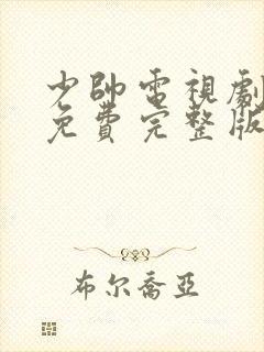 少帅电视剧高清免费完整版下载