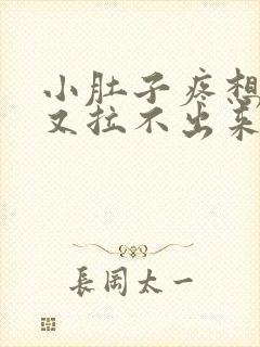 小肚子疼想大便又拉不出来怎么回事