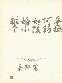 离婚如何争取两个小孩的抚养权