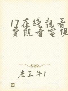 17在线观看免费观看电视剧高清封面