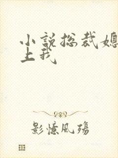 小说总裁媳妇爱上我