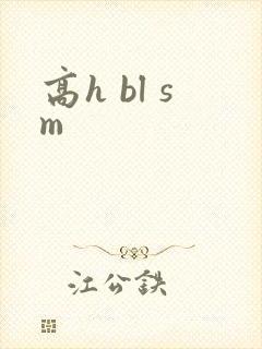 高h bl sm