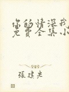 你的情深我不配免费全集小说封面