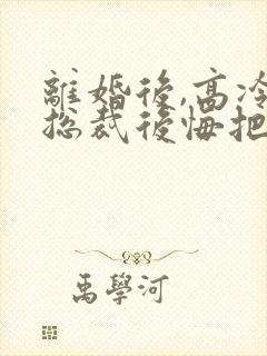 离婚后,高冷女总裁后悔把封面