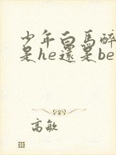 少年白马醉春风是he还是be封面