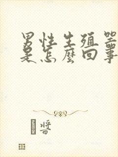 男性生殖器弯的是怎么回事