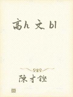 高h 文 bl