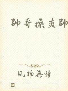 帅哥操爽帅哥封面