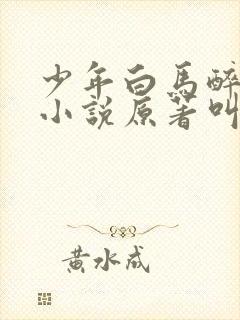 少年白马醉春风小说原著叫什么封面