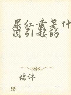 尿红黄是什么原因引起的