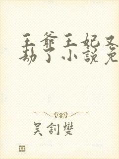 王爷王妃又去打劫了小说免费