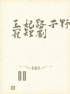 王妃路子野,得宠短剧