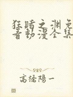 狂赌之渊免费观看动漫全集高清封面