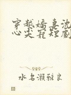 穿越娇妻沈队长心尖宠短剧免费观看