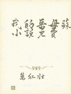 我的岳母苏沛真小说免费