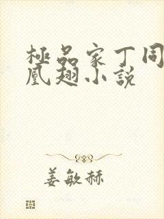 极品家丁同人凤凰翅小说