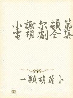 小谢尔顿第一季电视剧全集免费观看