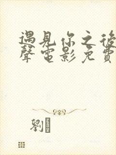 遇见你之后赵凤声电影免费完整观看高清