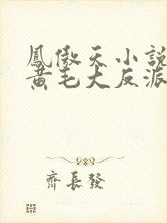 凤傲天小说里的黄毛大反派也想要幸福小说