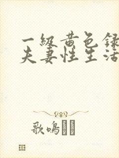 一级黄色录像,夫妻性生活今