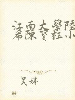 江南大学陆黄若希陈宝柱小说封面