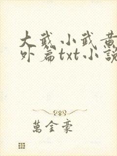 大武小武黄蓉番外篇txt小说