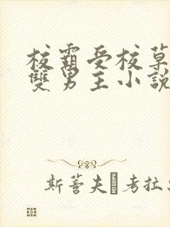 校霸受校草攻的双男主小说