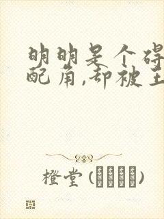 明明是个碍眼的配角,却被王子给宠爱了