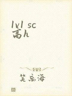 1v1 sc 高h