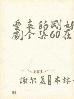 爱来的刚好电视剧全集60在线观看封面