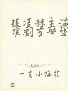 张凌赫主演的电视剧有哪些