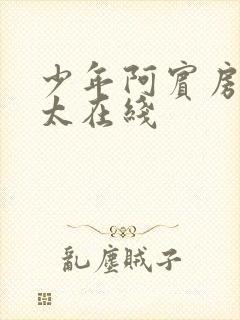 少年阿宾房东太太在线封面