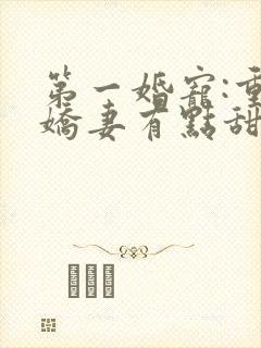 第一婚宠:重生娇妻有点甜小说下载