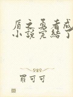 盾之勇者成名录小说完结了吗