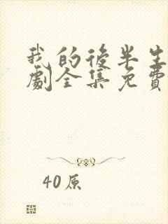 我的后半生电视剧全集免费播放高清封面