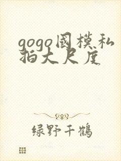 gogo国模私拍大尺度