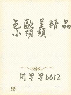 色欧美精品在线小视频封面