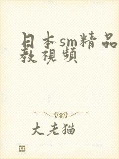 日本sm精品调教视频