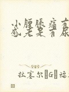 小腹胀痛有下坠感老是有尿意