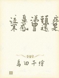 流鼻涕头疼是风寒感冒还是风热感冒