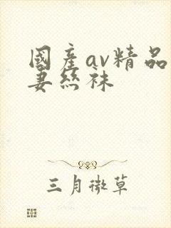 国产av精品人妻丝袜