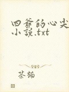 四爷的心尖宠妃小说.txt