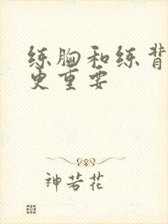 练胸和练背哪个更重要