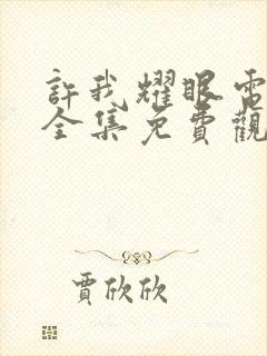 许我耀眼电视剧全集免费观看高清