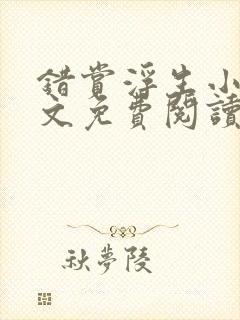 错赏浮生小说全文免费阅读